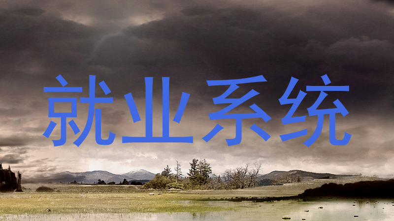 就业系统