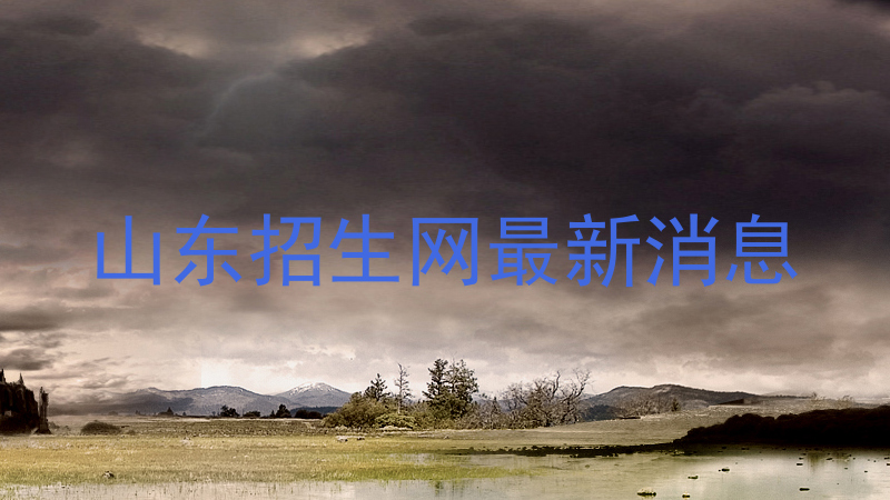山东招生网最新消息