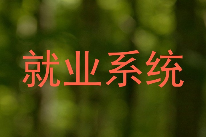 就业系统
