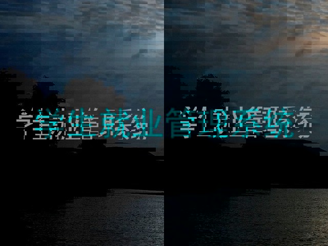 学生就业管理系统