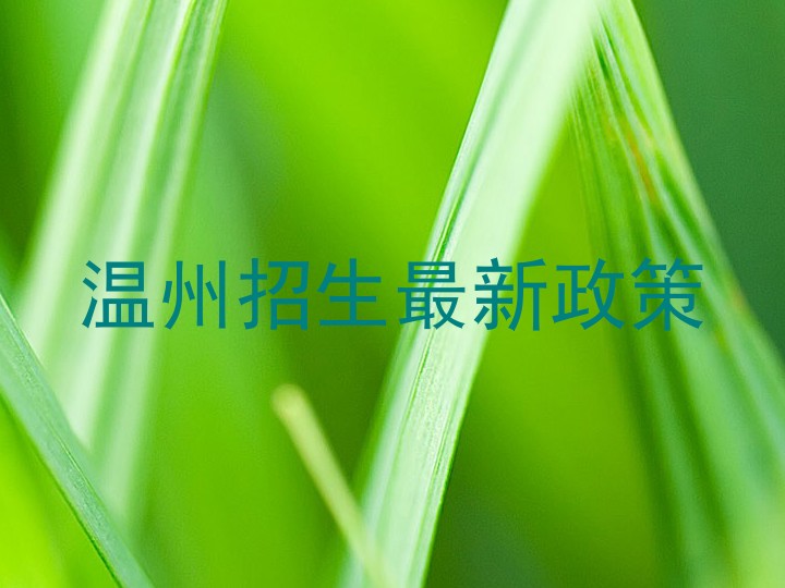 温州招生最新政策