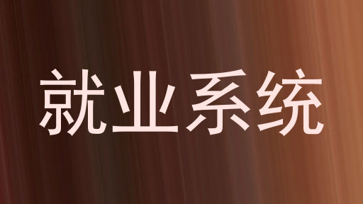 就业系统