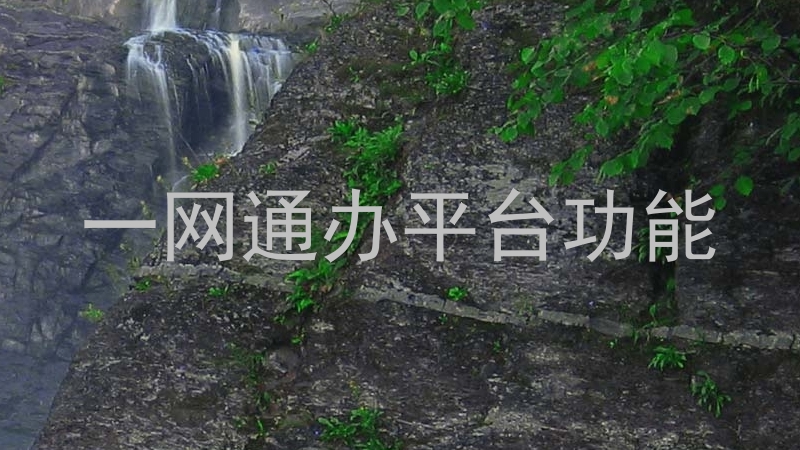 一网通办平台功能