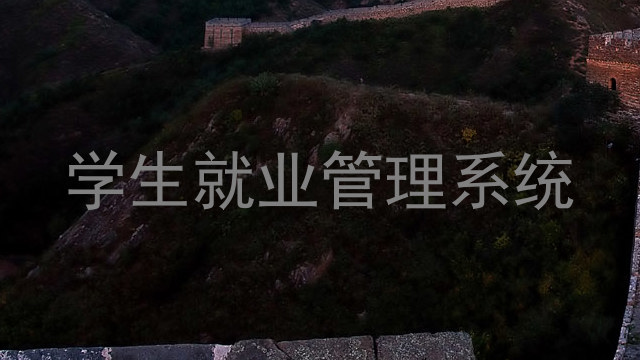 学生就业管理系统