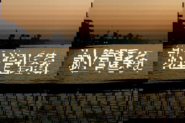 就业管理系统