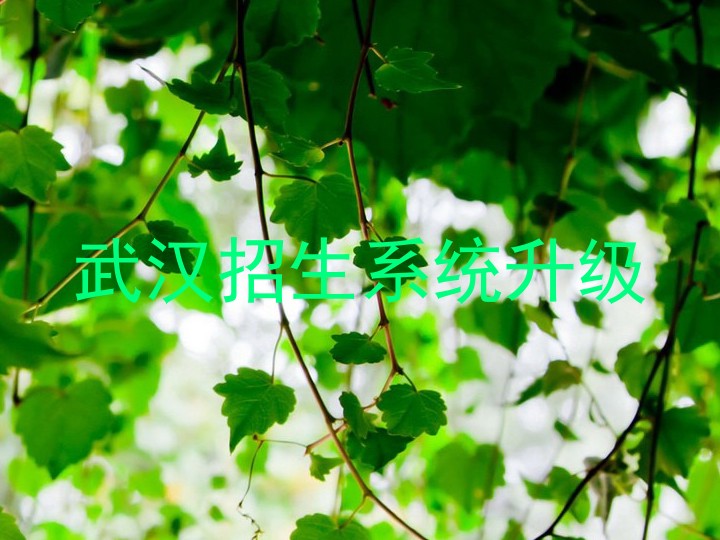 武汉招生系统升级