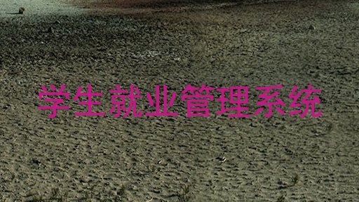 学生就业管理系统