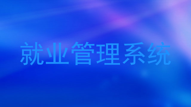 就业管理系统
