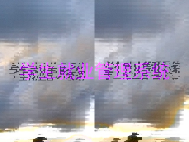 学生就业管理系统