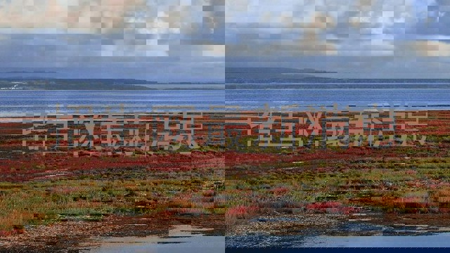 招生网最新消息