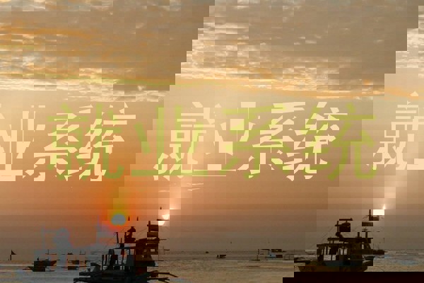 就业系统