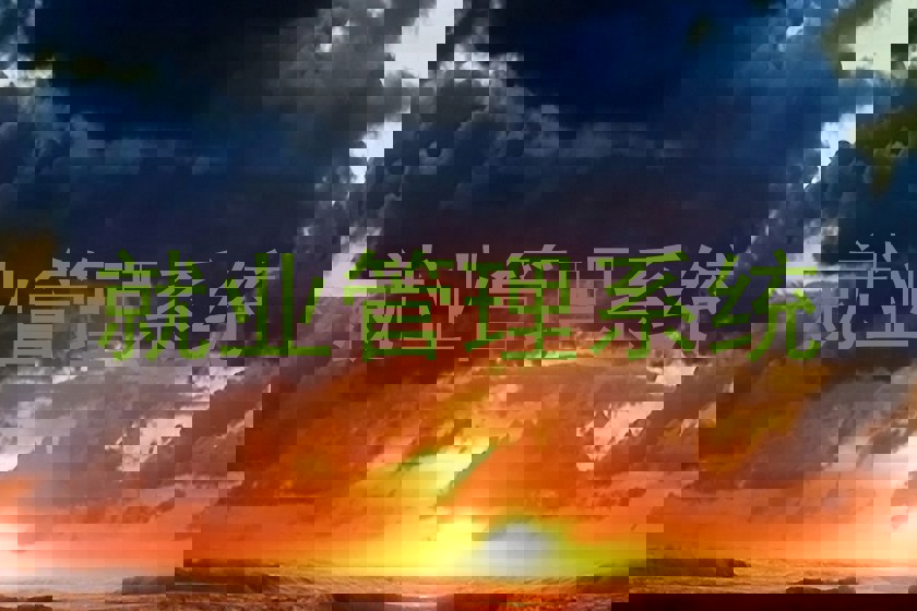 就业管理系统