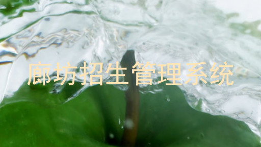 廊坊招生管理系统