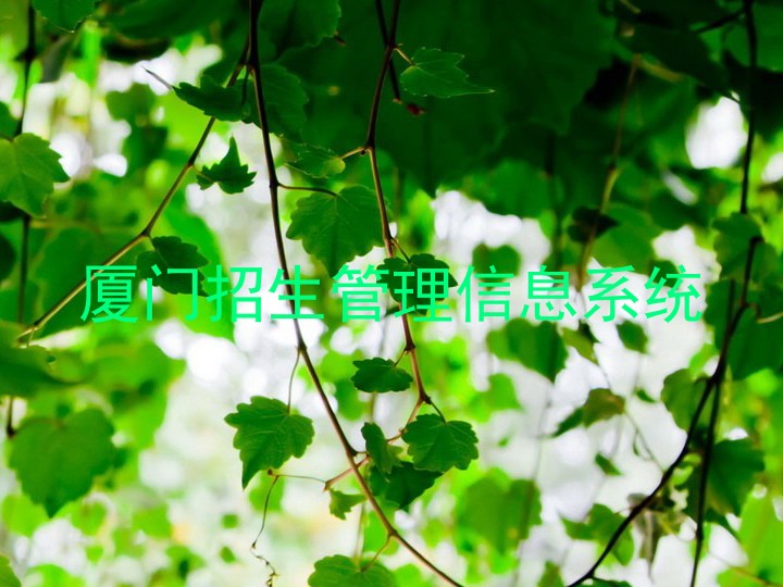 厦门招生管理信息系统