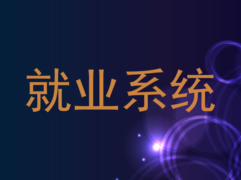 就业系统