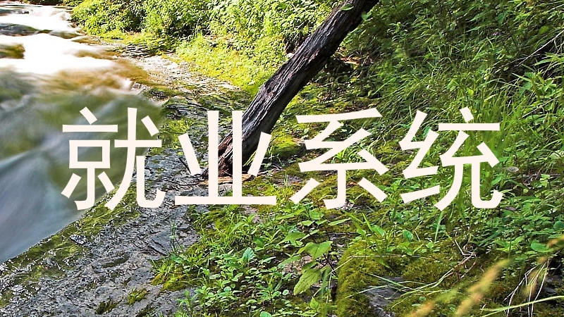 就业系统