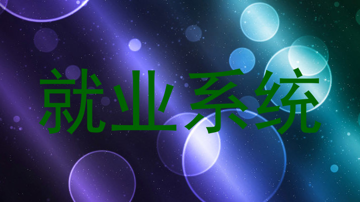 就业系统
