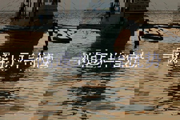 一网通办平台优势