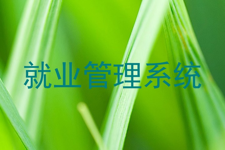 就业管理系统