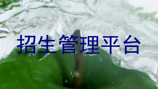 招生管理平台