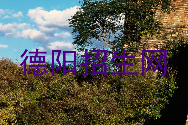 德阳招生网