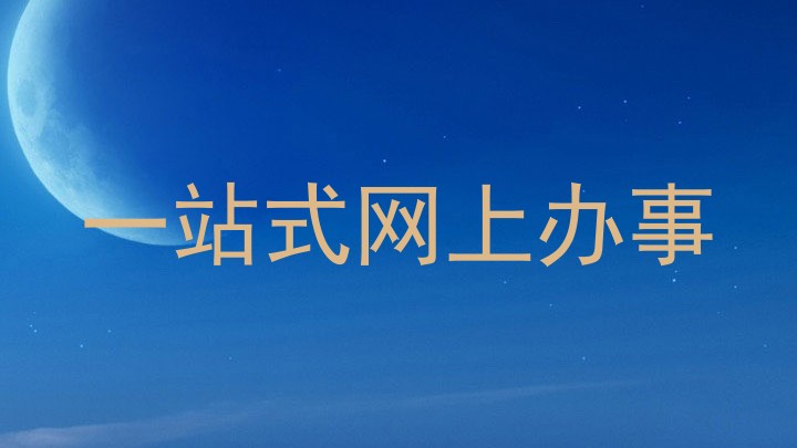 一站式网上办事