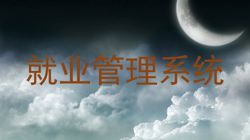 就业管理系统