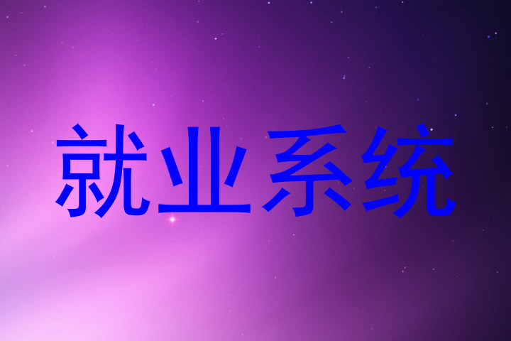 就业系统