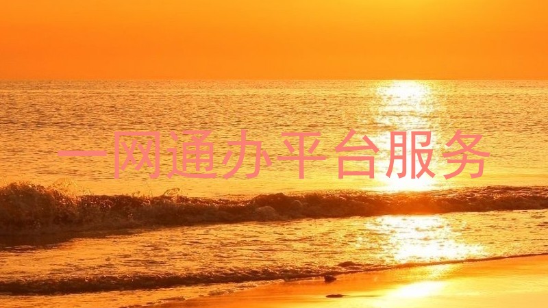 一网通办平台服务