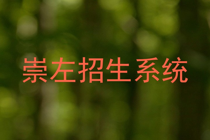 崇左招生系统