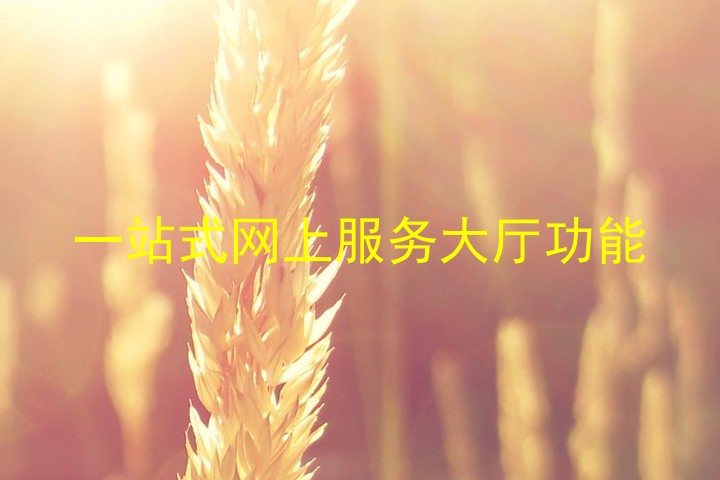 一站式网上服务大厅功能
