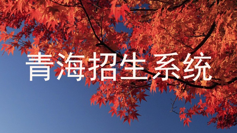 青海招生系统