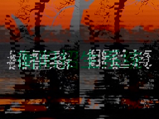 衡阳招生系统