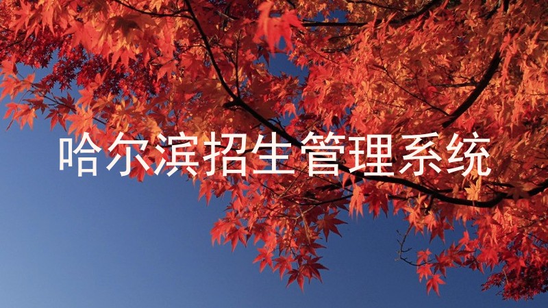 哈尔滨招生管理系统