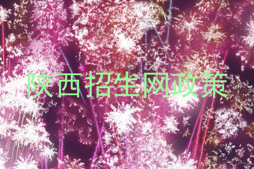 陕西招生网政策
