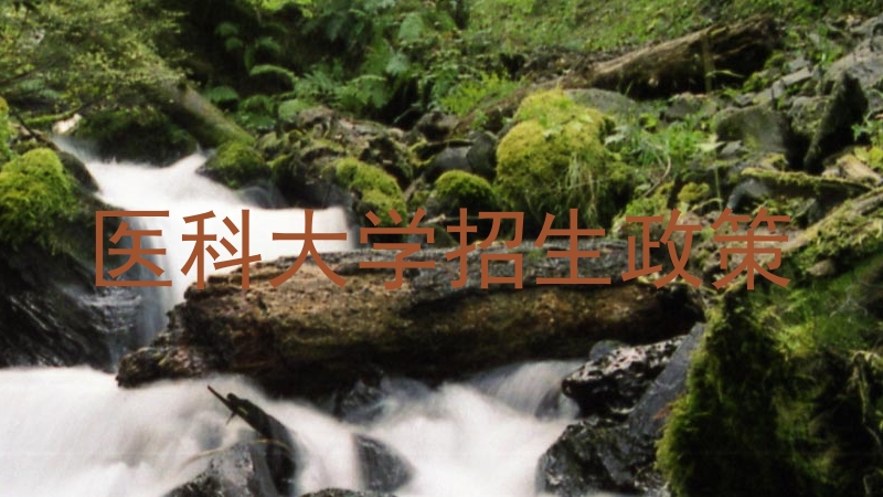 医科大学招生政策
