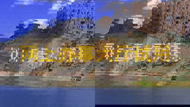 网上办事大厅试用