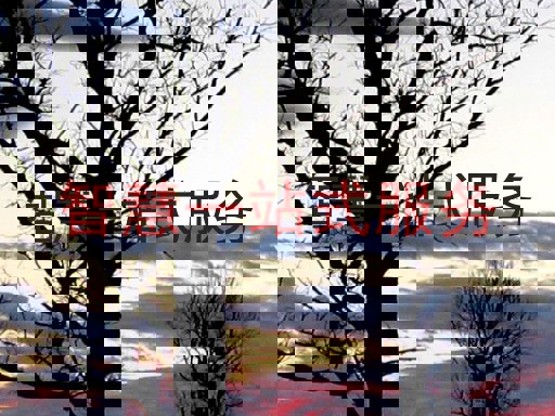 智慧一站式服务