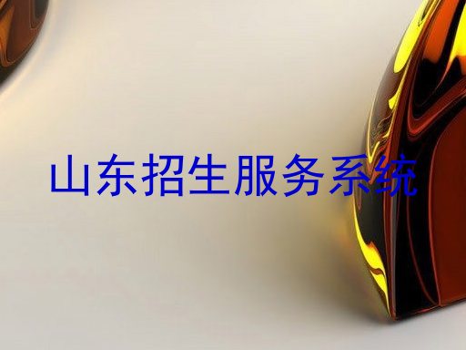 山东招生服务系统