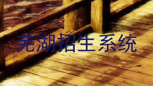 芜湖招生系统