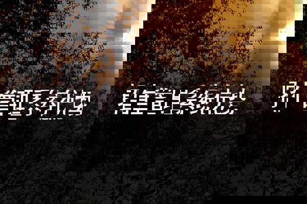 招生管理系统优势