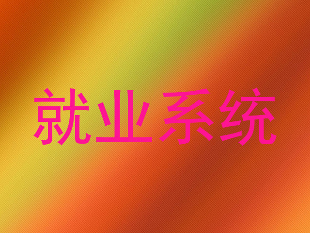 就业系统