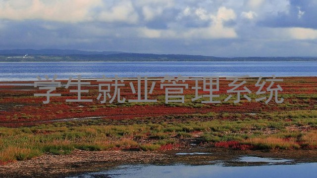 学生就业管理系统