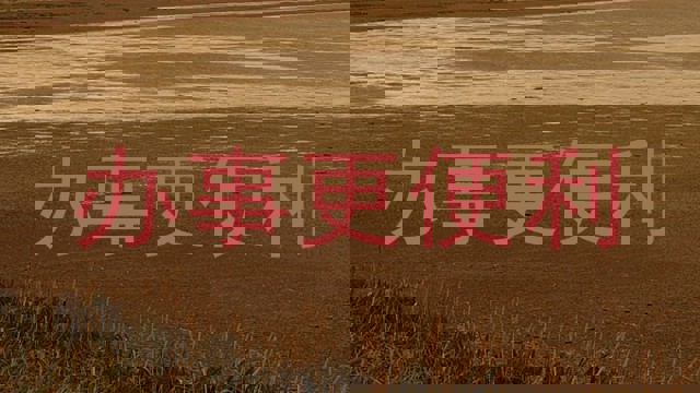 办事更便利