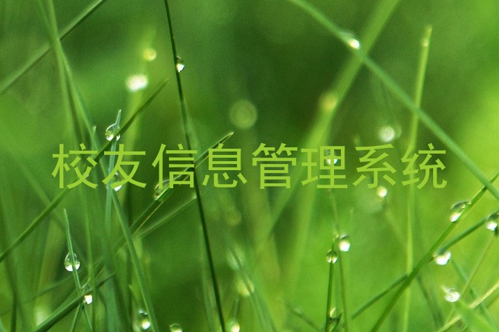 校友信息管理系统