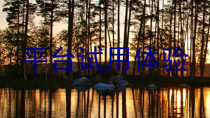 平台试用体验