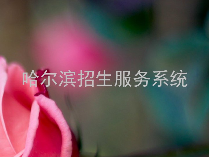 哈尔滨招生服务系统