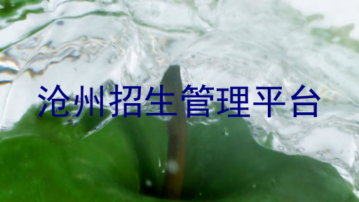 沧州招生管理平台