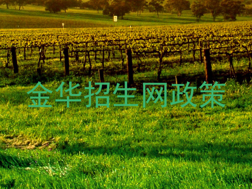 金华招生网政策
