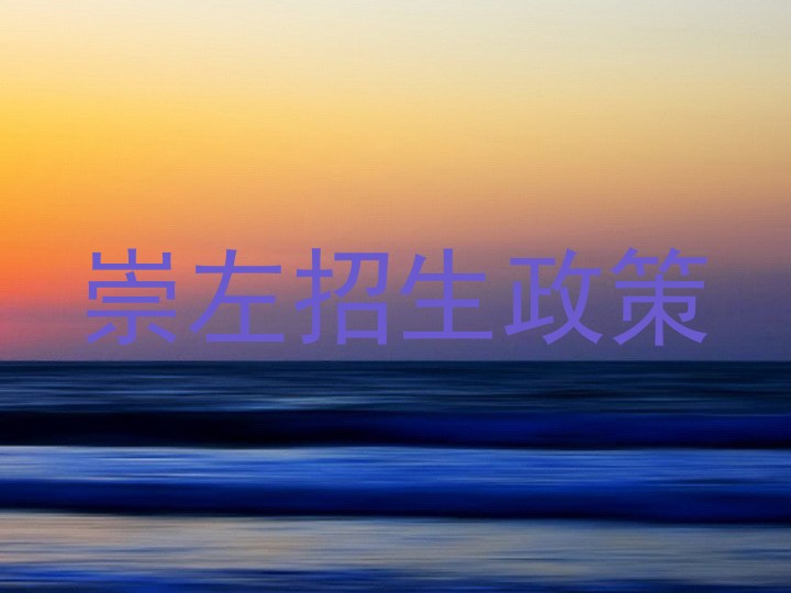 崇左招生政策